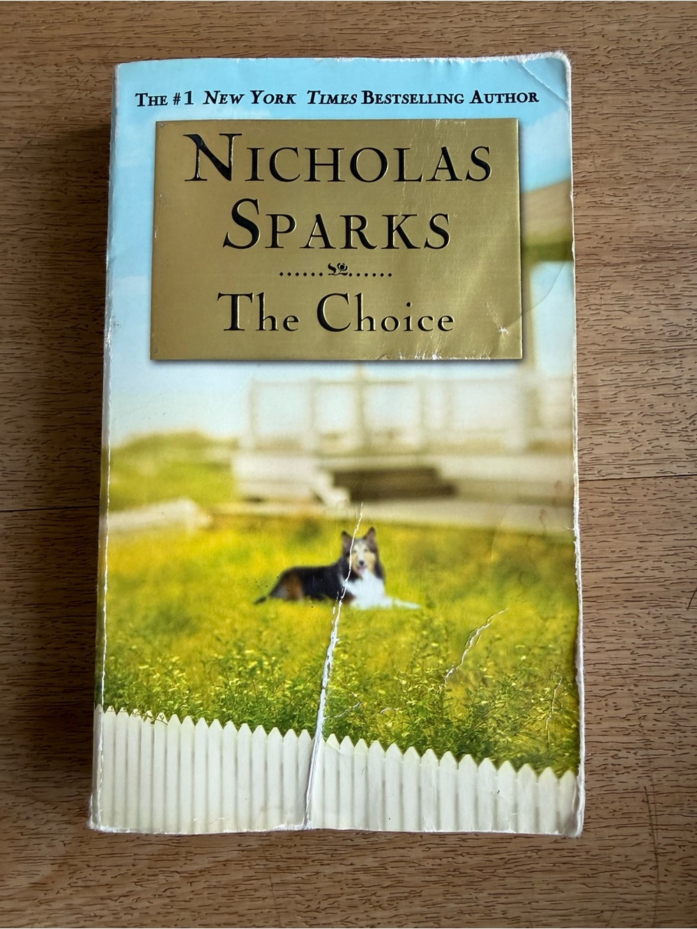 📚3 for $12📚 Nicholas Sparks "The Choice" Paperback - Blue, Gold, Green